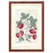 12" x 16" Sweet Summer Strawberries I Framed Wall Art, Contemporary Kitchen Home Décor, Glass Facing and Hanging Hardware Included